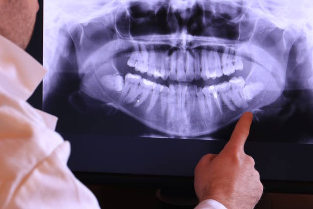 Best Emergency X-Rays and Diagnostics in Barstow, CA